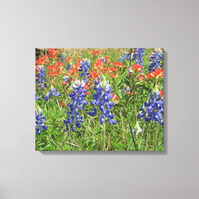 Canvas Texas Wildblommor Bluebonnet Paintpenslar (Framsida)