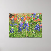 Canvas Texas Wildblommor Bluebonnet Paintpenslar