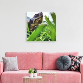 Canvas Turtle Close Up
