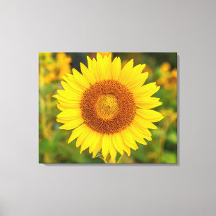 Canvas Wall Art-Sunsphere