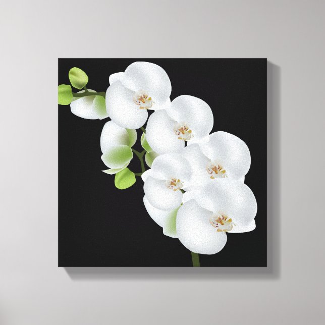 Canvas Wall Art-White Orchids (Framsida)