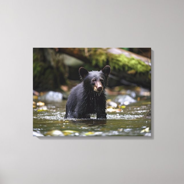 Canvas Wall Art-Yellowstone Black Bear Unge (Framsida)