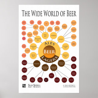 Canvas Wide World of Beer Infographic Print Poster