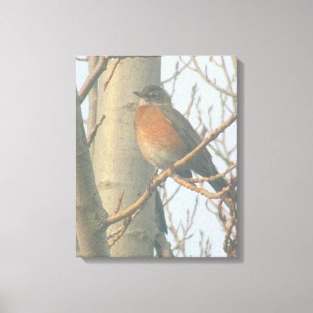 Canvas - Winter Robin (Framsida)