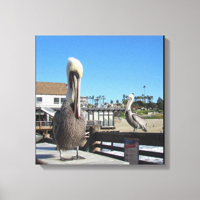 Canvas Wrap - Pelicans on Pier (Framsida)