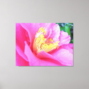 Canvas - Wrapped - Fullt Bloom Mörk Rosa Camellia