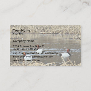 Canvasback drake visitkort