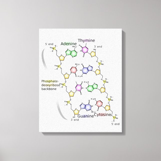 Canvasdiagram över DNA:s kemiska struktur Canvastryck (Framsida)