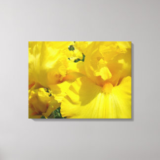 Canvaspanel blomsterkonst gula irisar Blommor Canvastryck