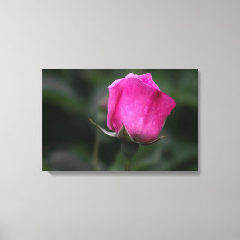 Canvastryck Elegant rosa rosbuds