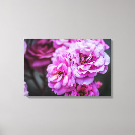 Canvastryck Mjuka Rosa Rosor