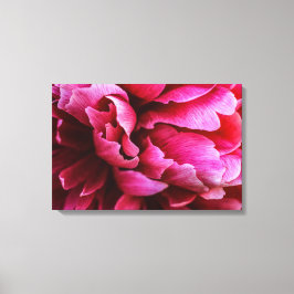 Canvastryck Rosa Peony-kronblad