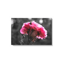 Canvastryck - Rosa Ros Elegans