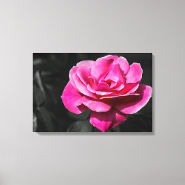 Canvastryck Rosa Ros Elegans
