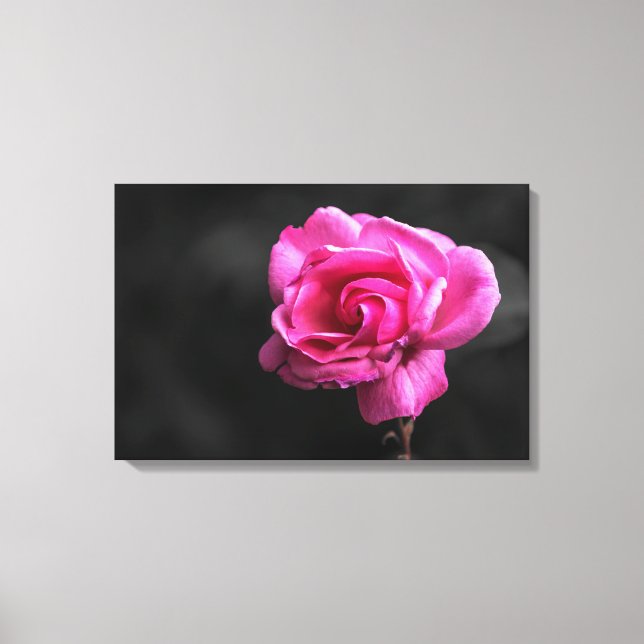 Canvastryck Rosa Ros Fotografi (Framsida)