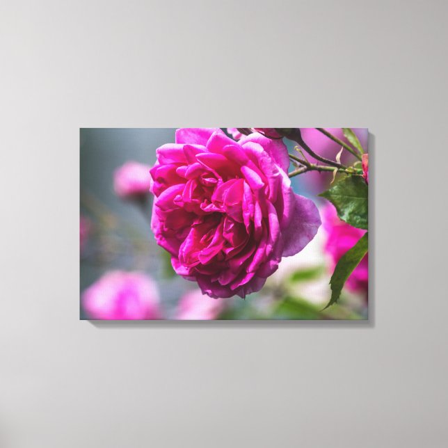 Canvastryck Rosa Ros Fotografi (Framsida)