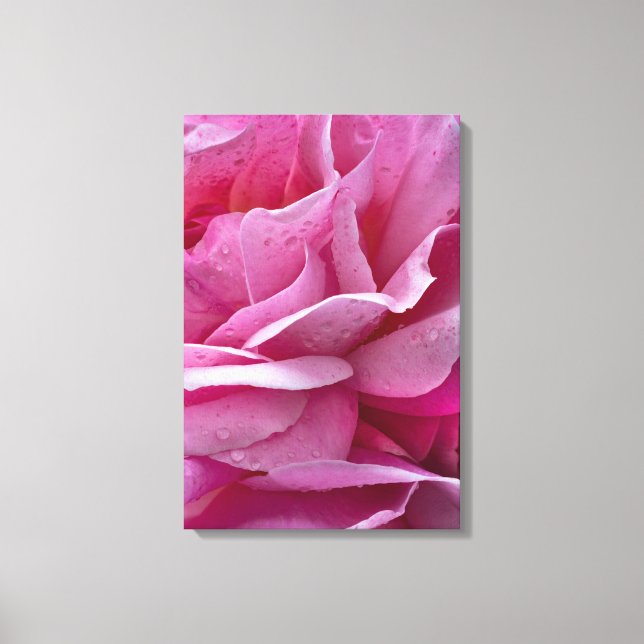 Canvastryck Rosa Rosblad Och Daggdroppar (Framsida)