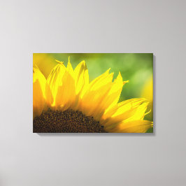 Canvastryck Solros Blommig Fotografi