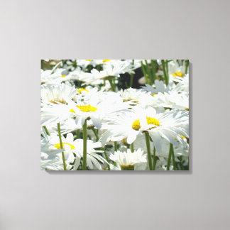 Canvastryck Vita Tusenskönor Blommig konst