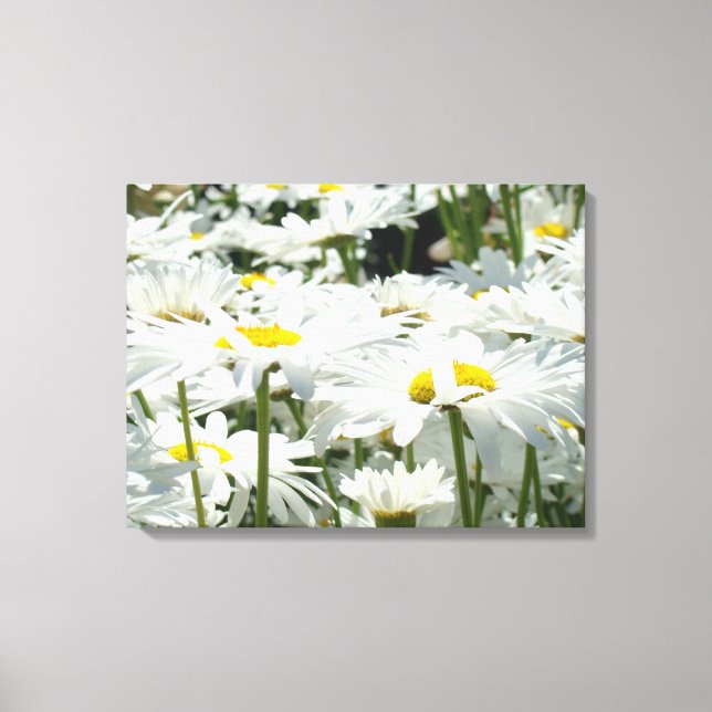 Canvastryck Vita Tusenskönor Blommig konst (Framsida)