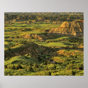 Canyon After Storm i Theodore Roosevelt Poster