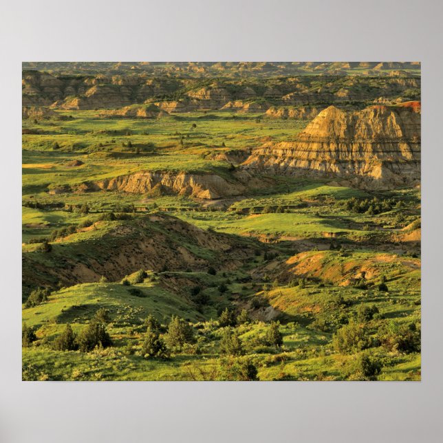 Canyon After Storm i Theodore Roosevelt Poster (Framsidan)