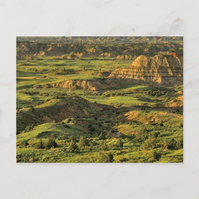 Canyon After Storm i Theodore Roosevelt Vykort (Framsida)