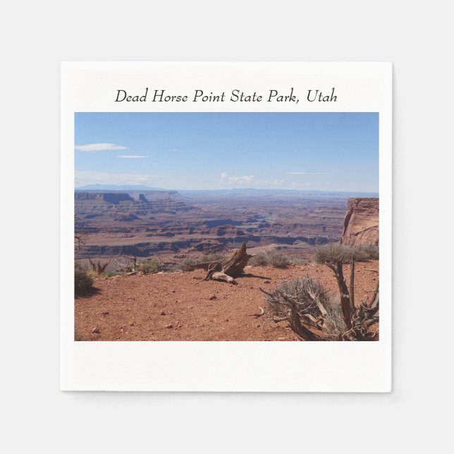 Canyon at Dead Horse Point State Park Pappersservett (Framsidan)