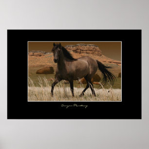CANYON MUSTANG Horse Conservation Art Skriv ut Poster