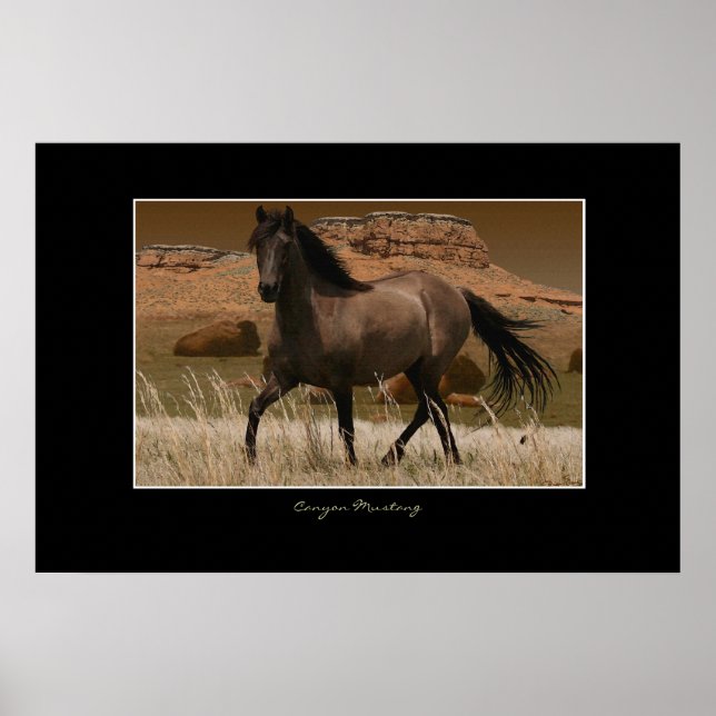 CANYON MUSTANG Horse Conservation Art Skriv ut Poster (Framsidan)