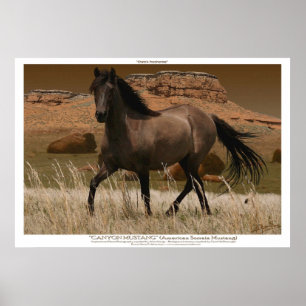 CANYON MUSTANG Horse Conservation Art Skriv ut Poster