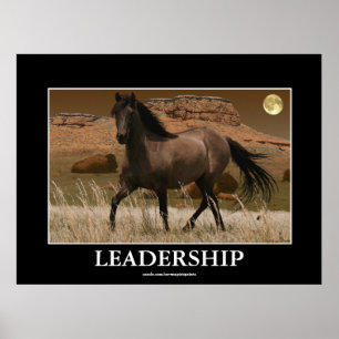 CANYON MUSTANG Horse Conservation Art Skriv ut Poster