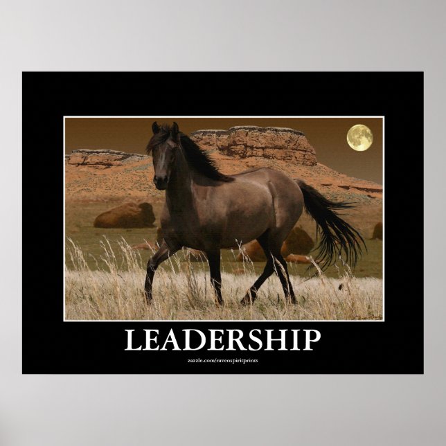 CANYON MUSTANG Horse Conservation Art Skriv ut Poster (Framsidan)