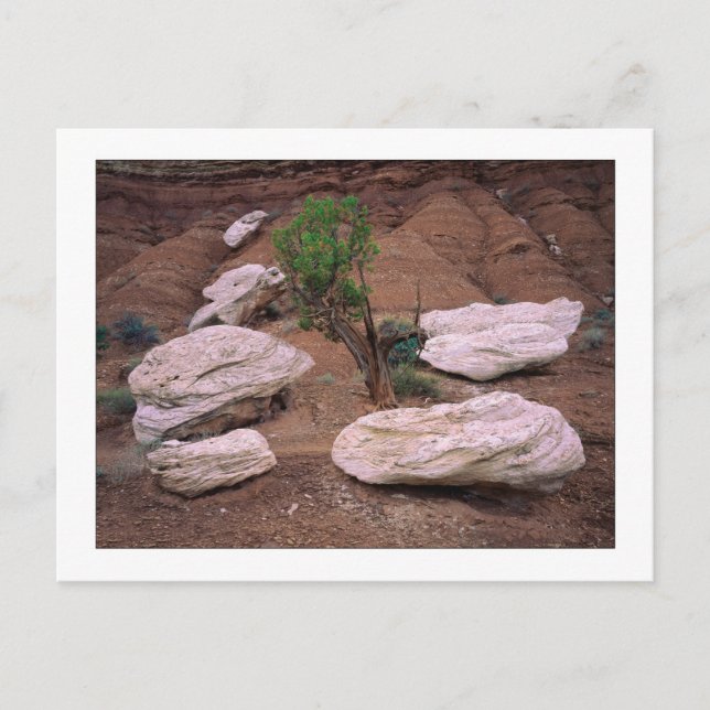 ’Canyon Pods’ Vykort (Framsida)