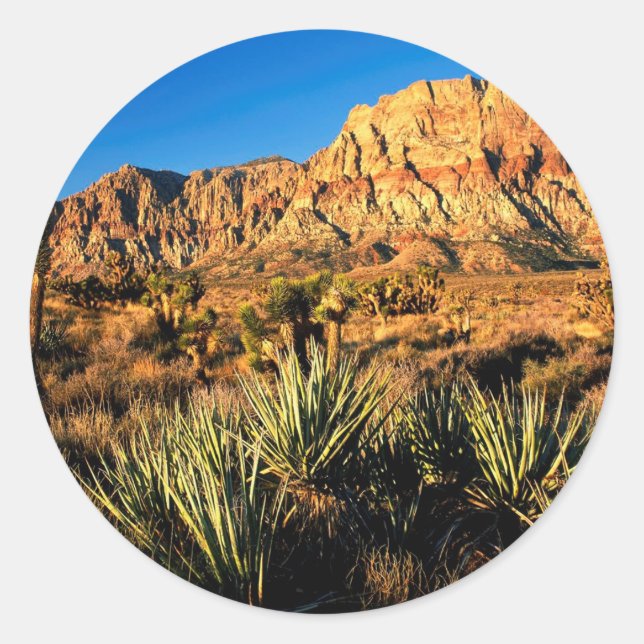 Canyon Red Sten Nevada Runt Klistermärke (Framsida)