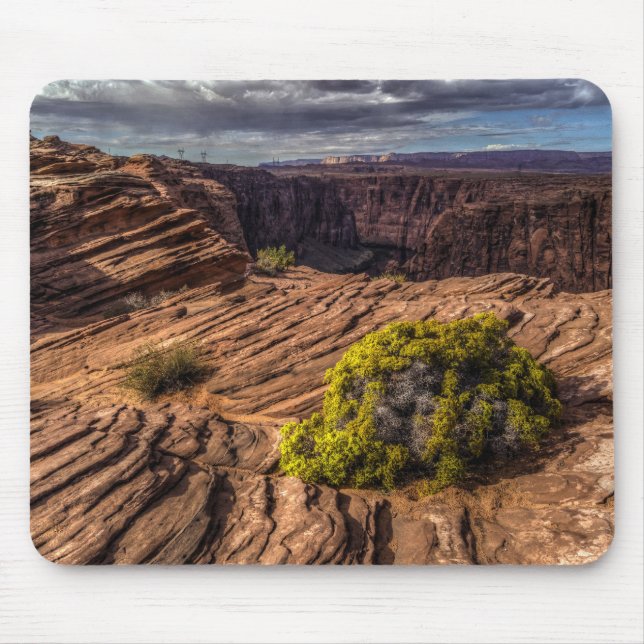 Canyon Resilience Mousepad Musmatta (Framsidan)