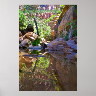 Canyon Spegel Poster