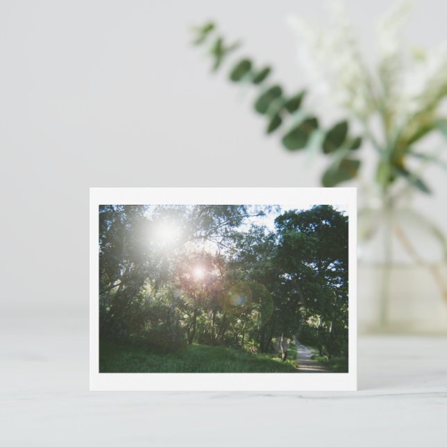 Canyon Trail Vykort (Stående Fram)