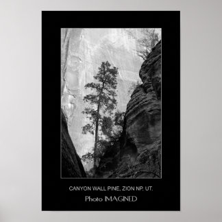 CANYON WALL GRÄS, ZION NP, UT. POSTER