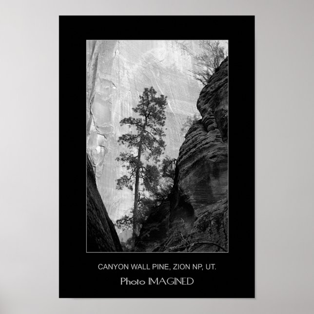 CANYON WALL GRÄS, ZION NP, UT. POSTER (Framsidan)