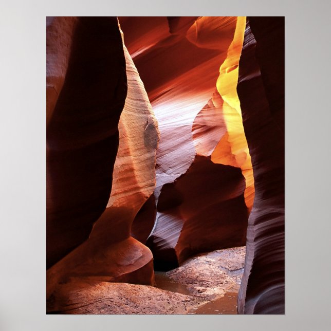 Canyon X Poster (Framsidan)