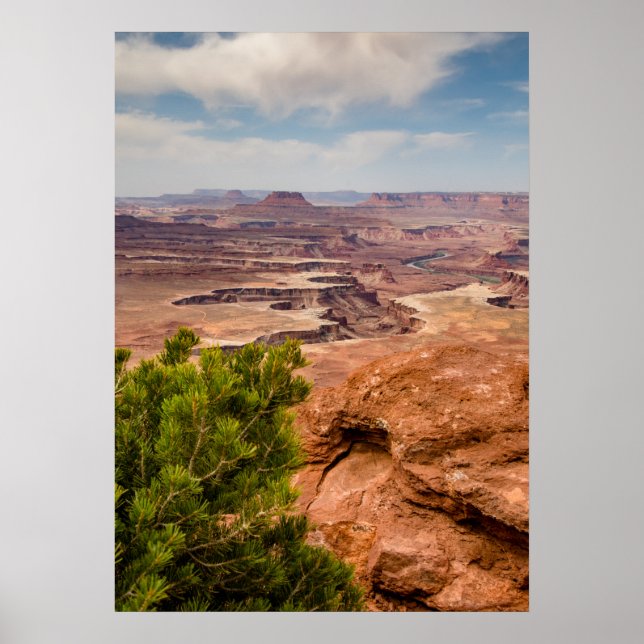 Canyonlands nationalpark poster (Framsidan)