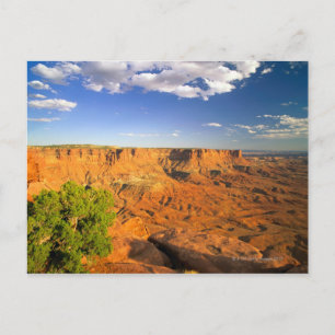 Canyonlands nationalpark, Utah, Förenade Stater Vykort