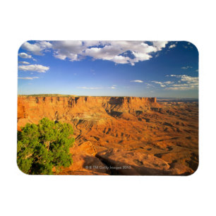 Canyonlands nationalpark, Utah, United States Magnet