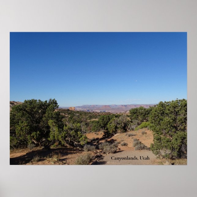 Canyonlands, Utah Poster (Framsidan)