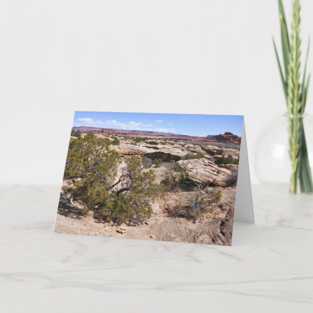 Canyonlands View från Cave Vår Trail Kort (Framsida)
