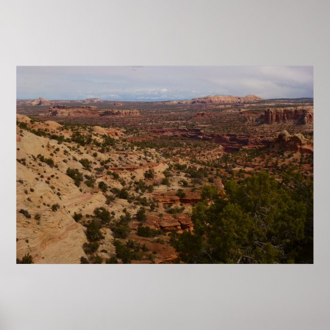 Canyonlands View från Nacke Vår Trail Poster (Framsidan)