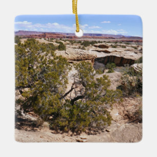 Canyonlands Vy från Cave Springs Trail Julgransprydnad Keramik