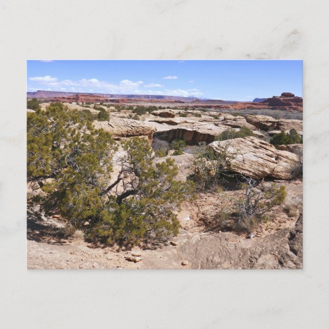 Canyonlands vy från Cave Springs Trail Vykort (Framsida)
