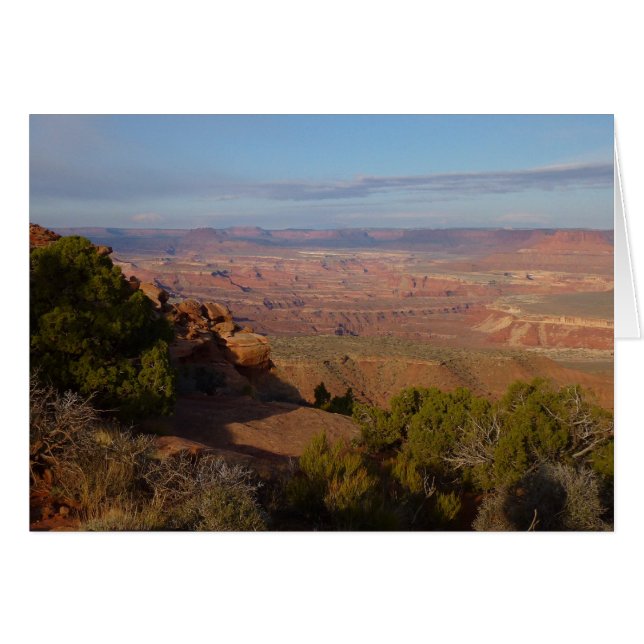 Canyonlands vy från Grand View Point Trail Hälsningskort (Framsidan Horizontal)